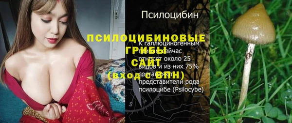 мет Богданович