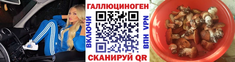 закладки  Бузулук  Галлюциногенные грибы прущие грибы 