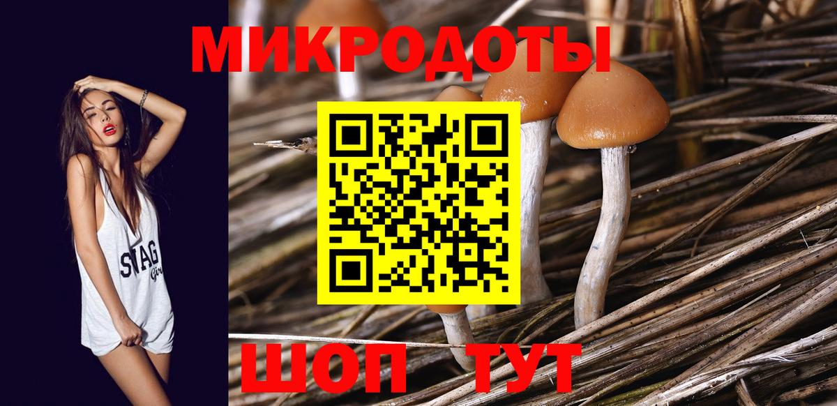 Псилоцибиновые грибы Psilocybe Бузулук