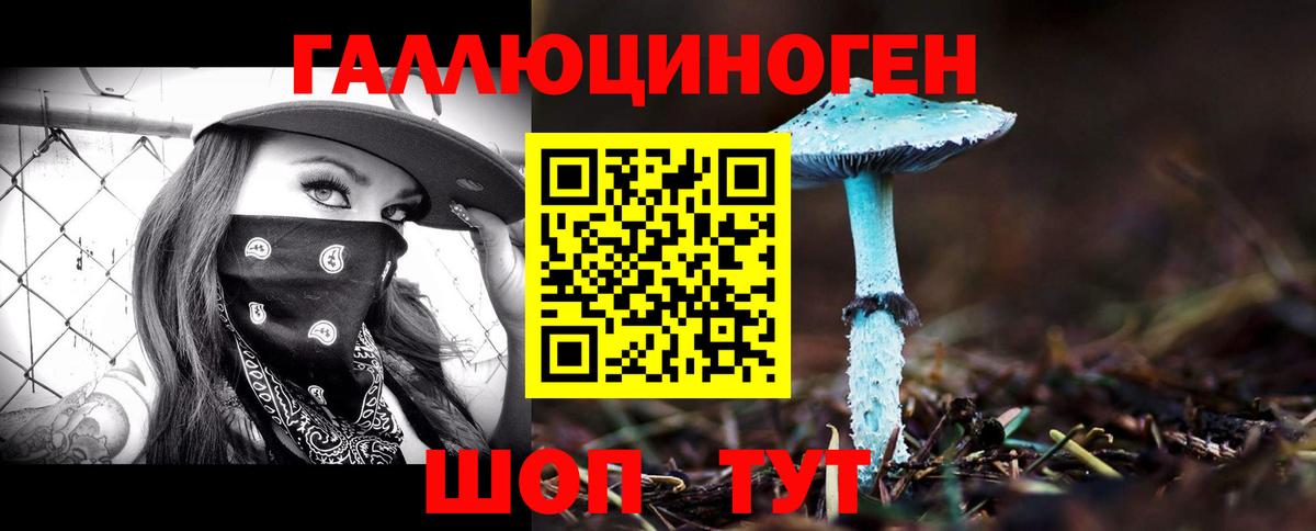 Бузулук  Псилоцибиновые грибы Psilocybe  Вход с VPN 